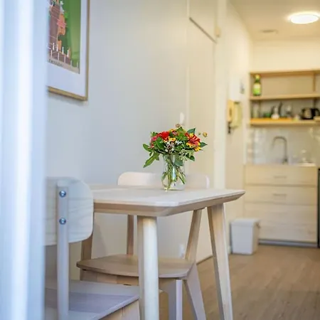 Lägenhet Cosy Avec Balcon Au Centre De Bordeaux *